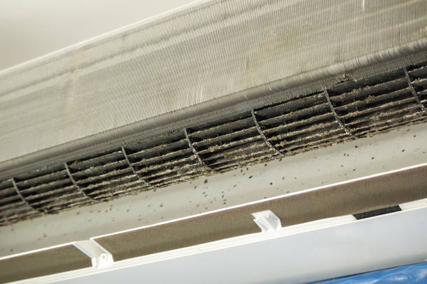 Best Residential Air Duct Cleaning  in Buffalo, NY