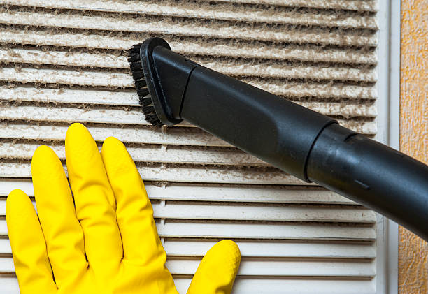 Best Professional Duct Cleaning Services  in Buffalo, NY